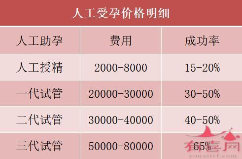 第三代人工受孕的费用(第三代人工受孕:费用分析与比较)