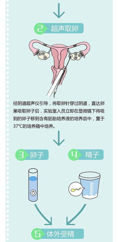 武汉三代供卵试管流程-武汉三代供卵试管流程全解析